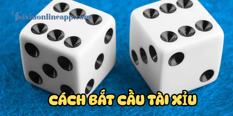 Các dạng cầu hay gặp trong cách bắt tài xỉu