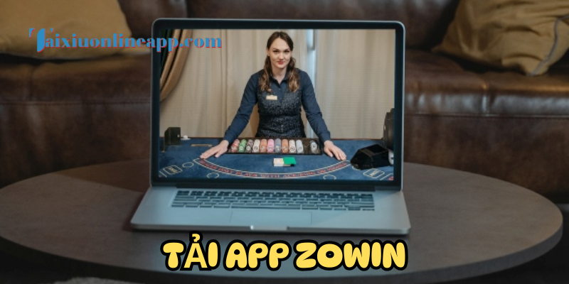 Giới thiệu về Zowin