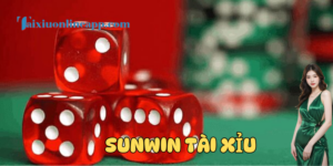 Giới thiệu về sân chơi