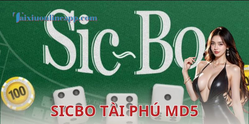 Cách chơi Sicbo tài phú MD5 và điểm khác biệt nổi bật