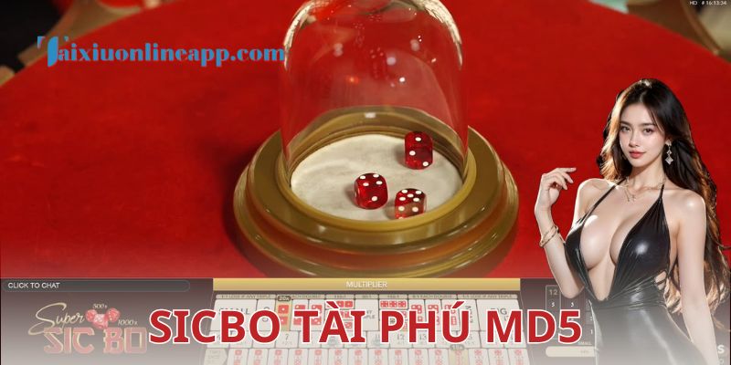 Một vài lưu ý khi chơi Sicbo tài phú MD5