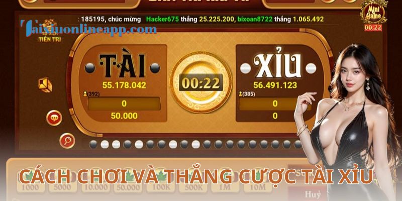 Quản lý vốn và tâm lý – Chìa khóa thành công