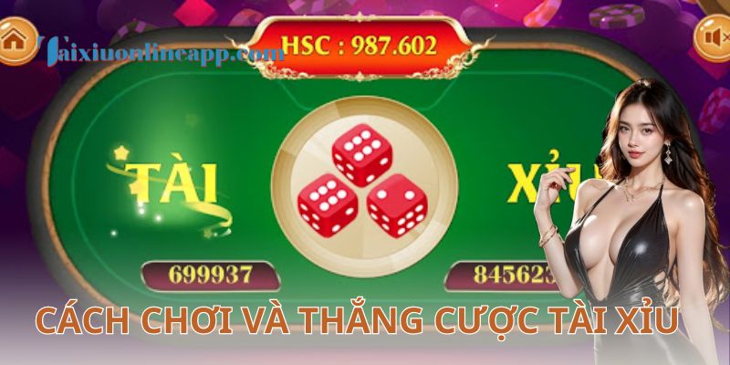 Xác suất và tỷ lệ trả thưởng – Nắm vững để thắng lớn