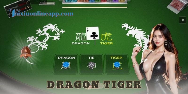  Trải nghiệm thực tế từ hệ thống và người dùng