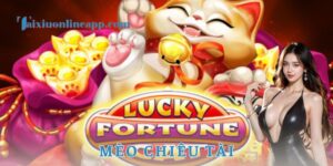 Mèo chiêu tài