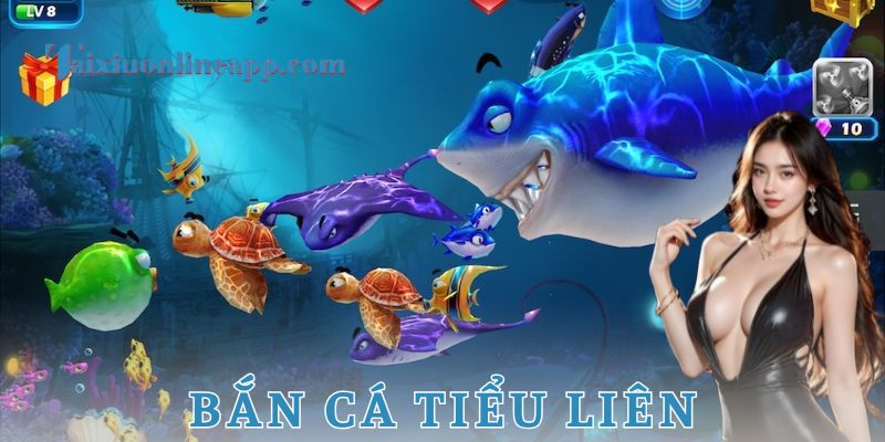 Những lưu ý quan trọng dành cho người chơi