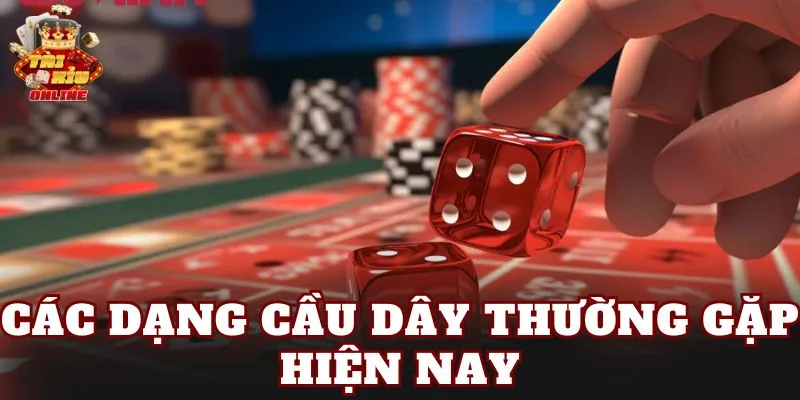 Các dạng cầu dây thường gặp hiện nay