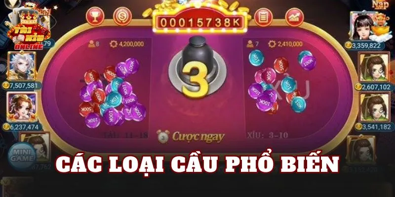 Các loại cầu phổ biến