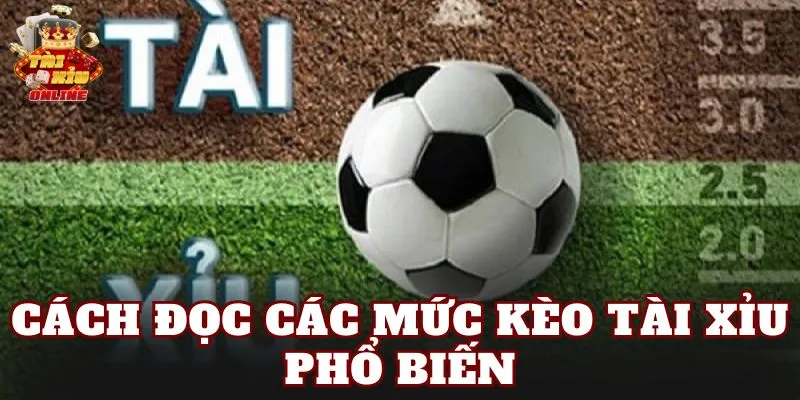Cách đọc các mức kèo tài xỉu phổ biến