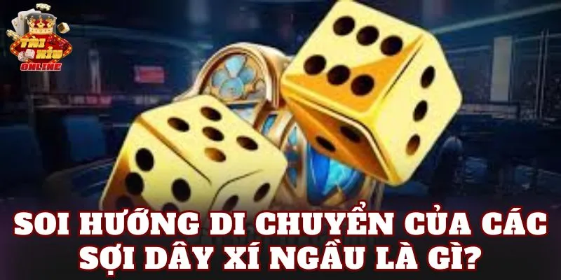 Soi hướng di chuyển của các sợi dây xí ngầu là gì?