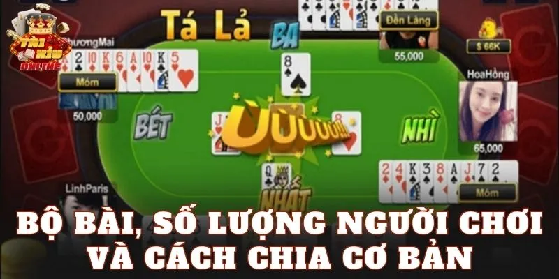 Bộ bài, số lượng người chơi và cách chia cơ bản