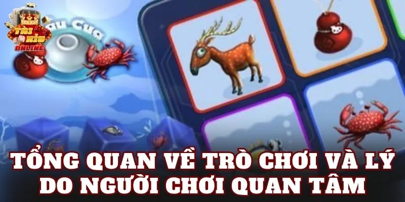 Tổng quan về trò chơi và lý do người chơi quan tâm