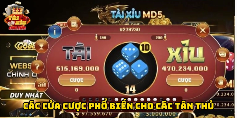 Các cửa cược phổ biến cho các tân thủ
