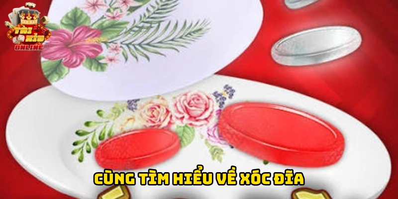 Cùng tìm hiểu về xóc đĩa