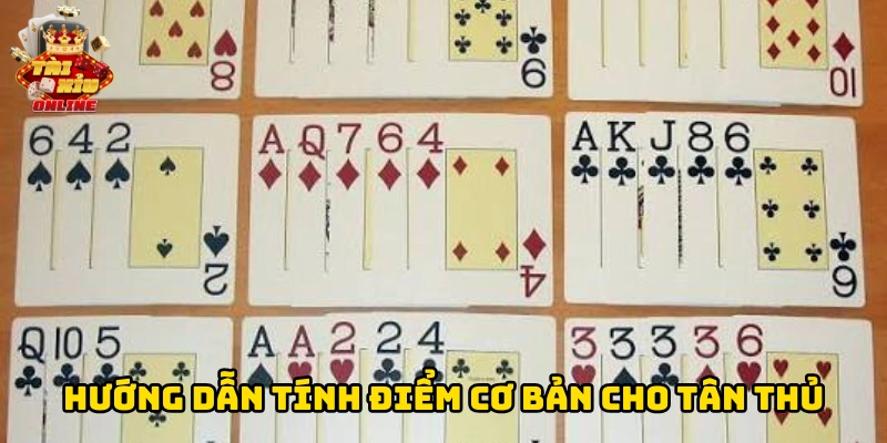 Hướng dẫn tính điểm cơ bản cho tân thủ