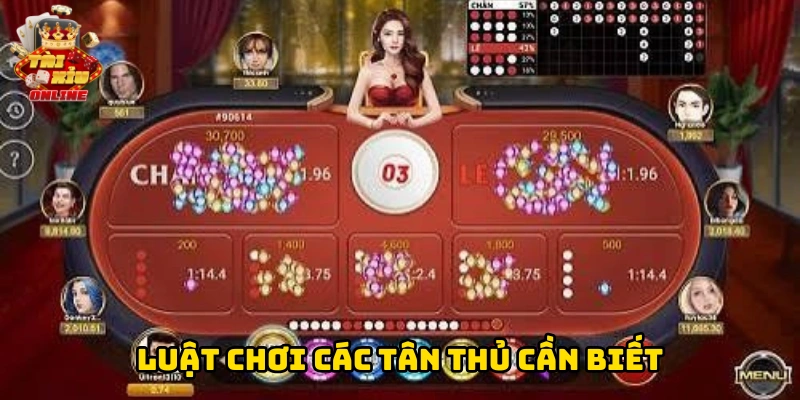 Luật chơi các tân thủ cần biết