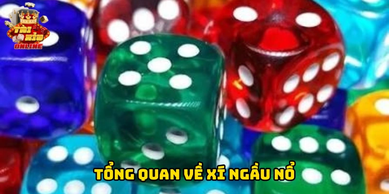 Tổng quan về xí ngầu nổ